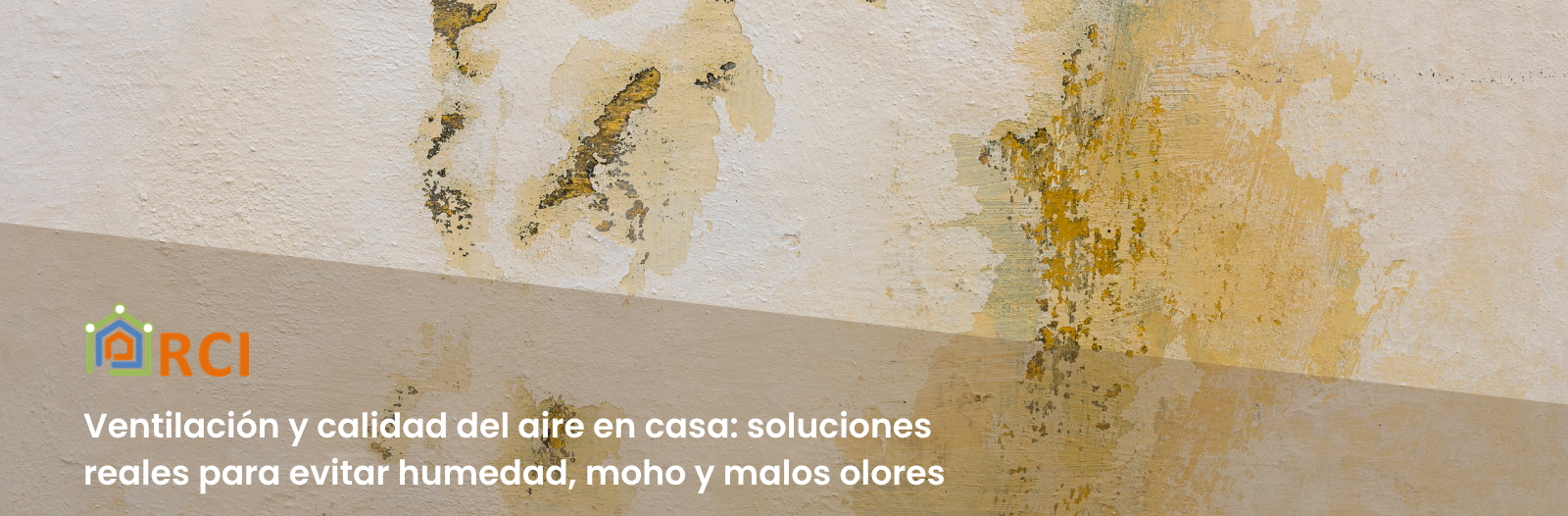 Ventilación y calidad del aire en casa: soluciones reales para evitar humedad, moho y malos olores